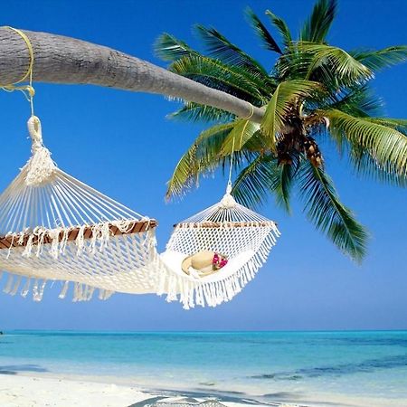 Affordable Two Bedroom Tropical Condo - Private Beach, Pools, Hot Tub Sankt Petersburg Exterior foto