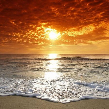 Affordable Two Bedroom Tropical Condo - Private Beach, Pools, Hot Tub Sankt Petersburg Exterior foto