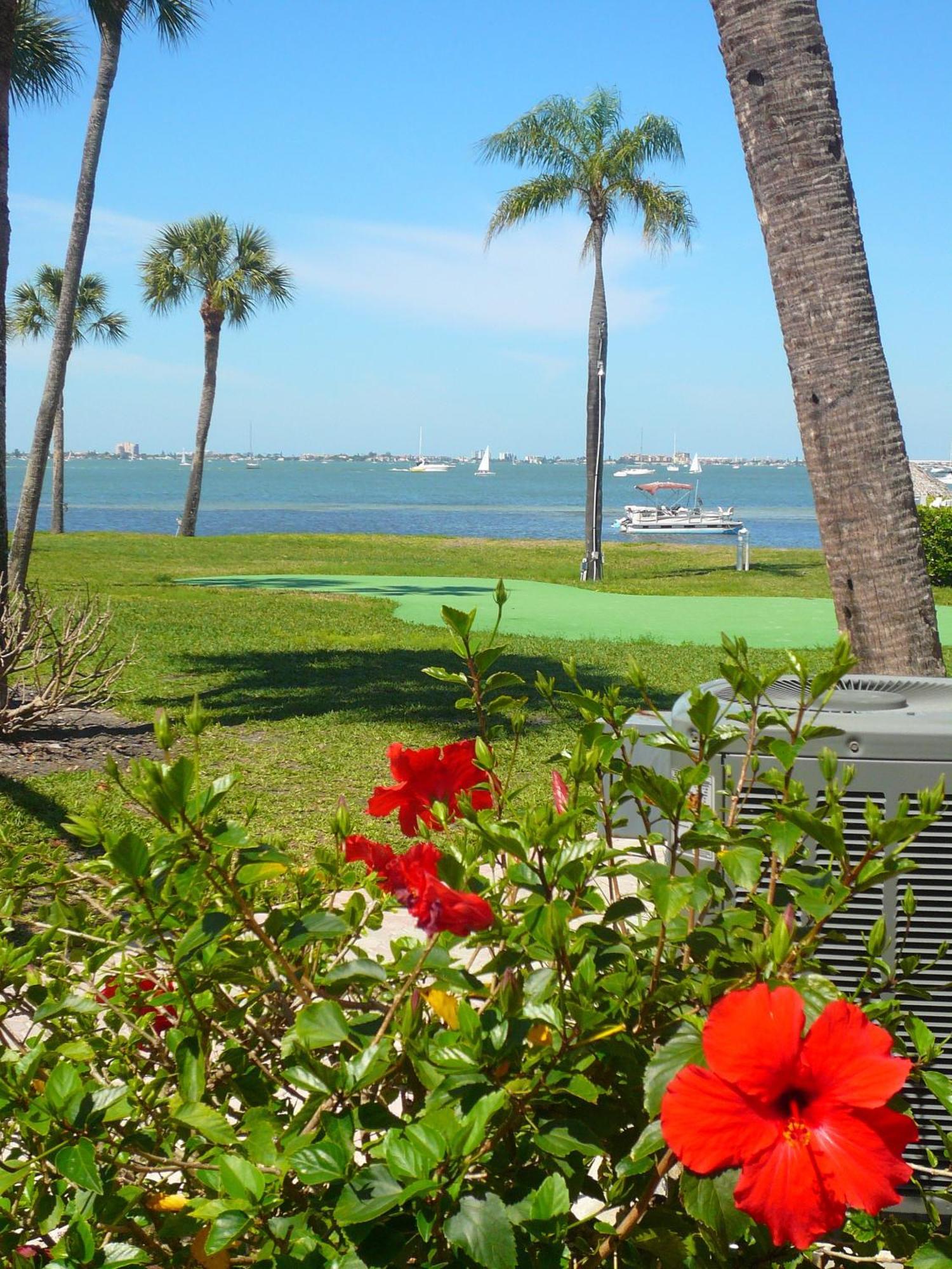 Affordable Two Bedroom Tropical Condo - Private Beach, Pools, Hot Tub Sankt Petersburg Exterior foto